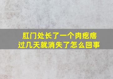 肛门处长了一个肉疙瘩过几天就消失了怎么回事