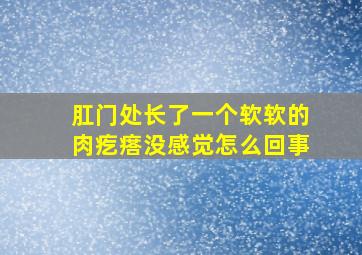 肛门处长了一个软软的肉疙瘩没感觉怎么回事