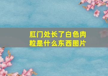 肛门处长了白色肉粒是什么东西图片