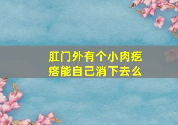 肛门外有个小肉疙瘩能自己消下去么