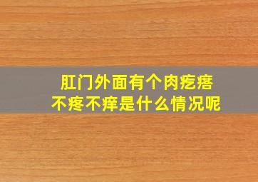 肛门外面有个肉疙瘩不疼不痒是什么情况呢