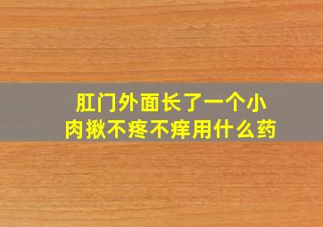 肛门外面长了一个小肉揪不疼不痒用什么药