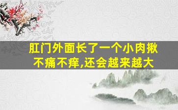 肛门外面长了一个小肉揪不痛不痒,还会越来越大