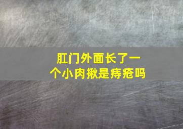 肛门外面长了一个小肉揪是痔疮吗