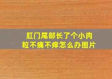 肛门尾部长了个小肉粒不痛不痒怎么办图片