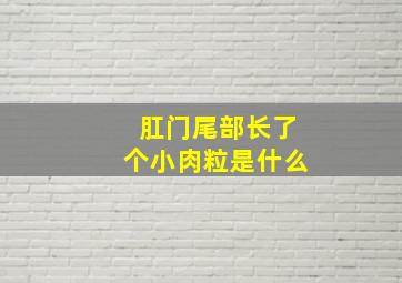 肛门尾部长了个小肉粒是什么