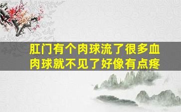 肛门有个肉球流了很多血肉球就不见了好像有点疼