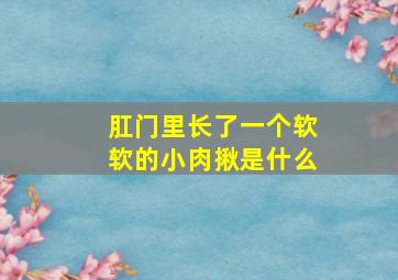 肛门里长了一个软软的小肉揪是什么