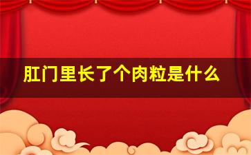 肛门里长了个肉粒是什么