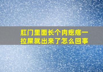 肛门里面长个肉疙瘩一拉屎就出来了怎么回事