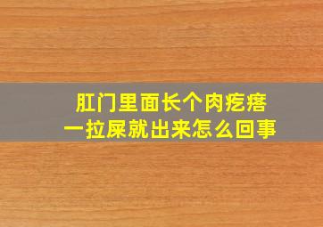 肛门里面长个肉疙瘩一拉屎就出来怎么回事