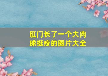 肛门长了一个大肉球挺疼的图片大全