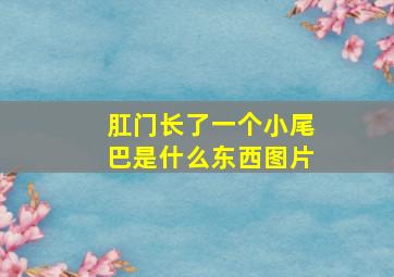 肛门长了一个小尾巴是什么东西图片