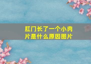 肛门长了一个小肉片是什么原因图片