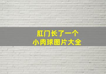 肛门长了一个小肉球图片大全