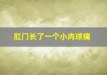 肛门长了一个小肉球痛