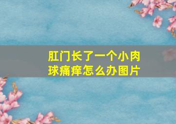 肛门长了一个小肉球痛痒怎么办图片