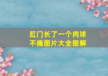 肛门长了一个肉球不痛图片大全图解