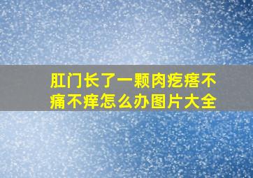 肛门长了一颗肉疙瘩不痛不痒怎么办图片大全