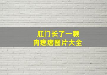 肛门长了一颗肉疙瘩图片大全