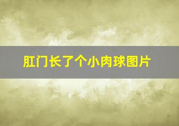 肛门长了个小肉球图片