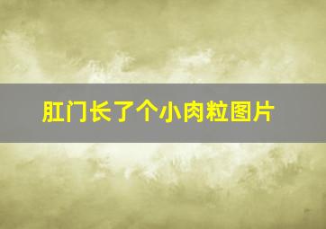 肛门长了个小肉粒图片