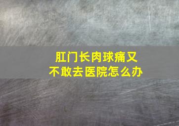 肛门长肉球痛又不敢去医院怎么办