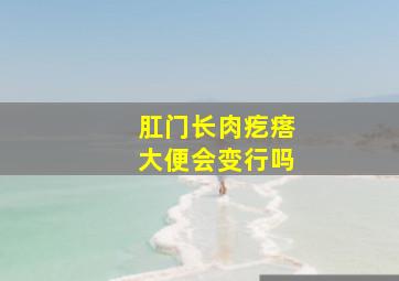 肛门长肉疙瘩大便会变行吗