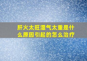 肝火太旺湿气太重是什么原因引起的怎么治疗