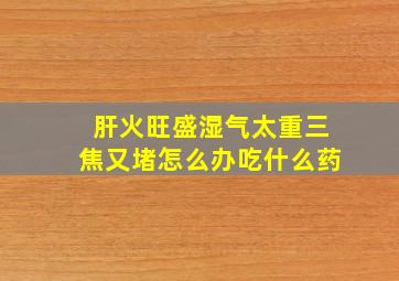 肝火旺盛湿气太重三焦又堵怎么办吃什么药