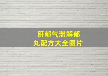 肝郁气滞解郁丸配方大全图片