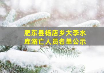 肥东县杨店乡大李水库溺亡人员名单公示