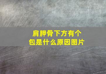 肩胛骨下方有个包是什么原因图片