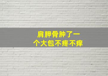 肩胛骨肿了一个大包不疼不痒