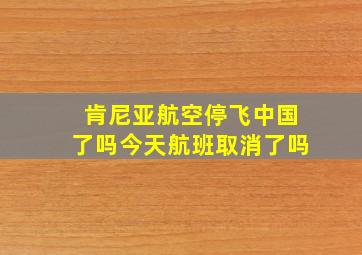 肯尼亚航空停飞中国了吗今天航班取消了吗