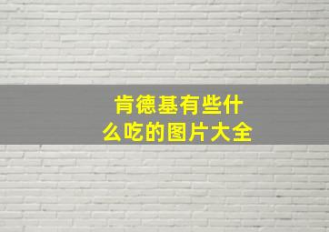 肯德基有些什么吃的图片大全