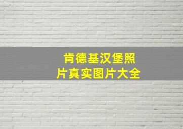 肯德基汉堡照片真实图片大全