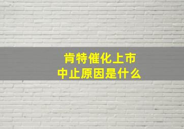 肯特催化上市中止原因是什么