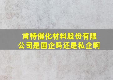 肯特催化材料股份有限公司是国企吗还是私企啊