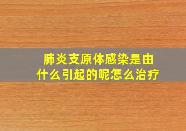 肺炎支原体感染是由什么引起的呢怎么治疗