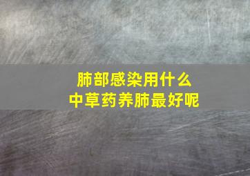 肺部感染用什么中草药养肺最好呢