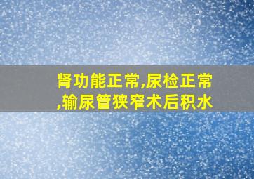 肾功能正常,尿检正常,输尿管狭窄术后积水