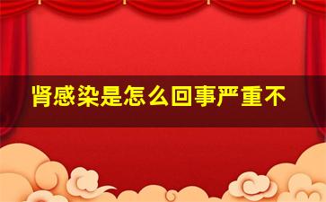 肾感染是怎么回事严重不