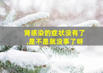 肾感染的症状没有了,是不是就没事了呀