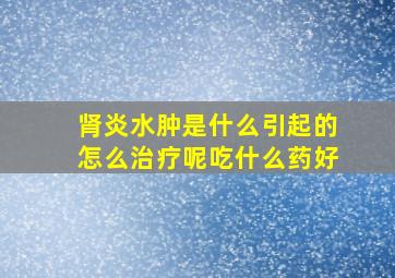 肾炎水肿是什么引起的怎么治疗呢吃什么药好