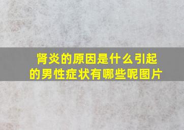 肾炎的原因是什么引起的男性症状有哪些呢图片