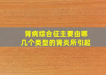 肾病综合征主要由哪几个类型的肾炎所引起