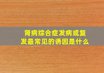 肾病综合症发病或复发最常见的诱因是什么