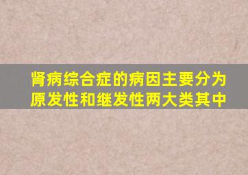 肾病综合症的病因主要分为原发性和继发性两大类其中