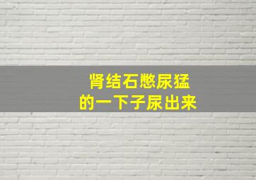 肾结石憋尿猛的一下子尿出来